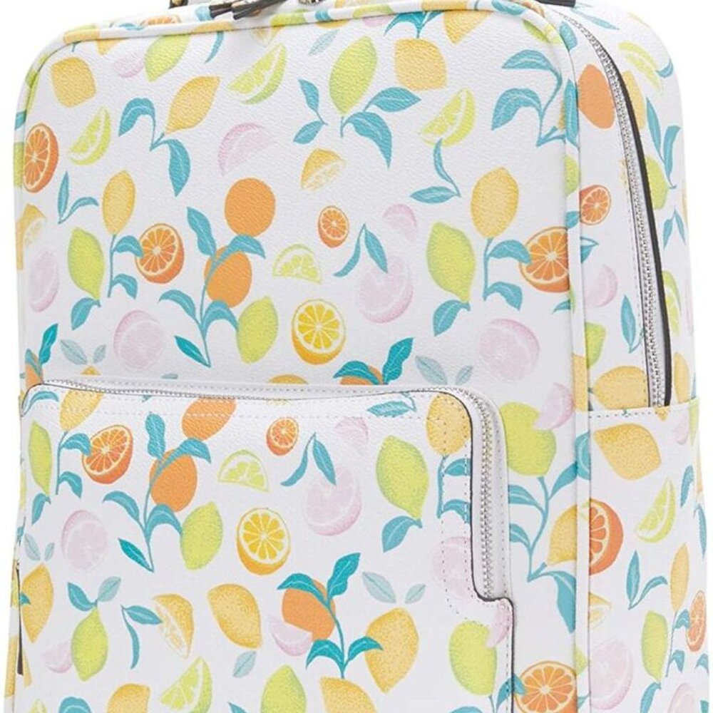 13-inch laptop backpack